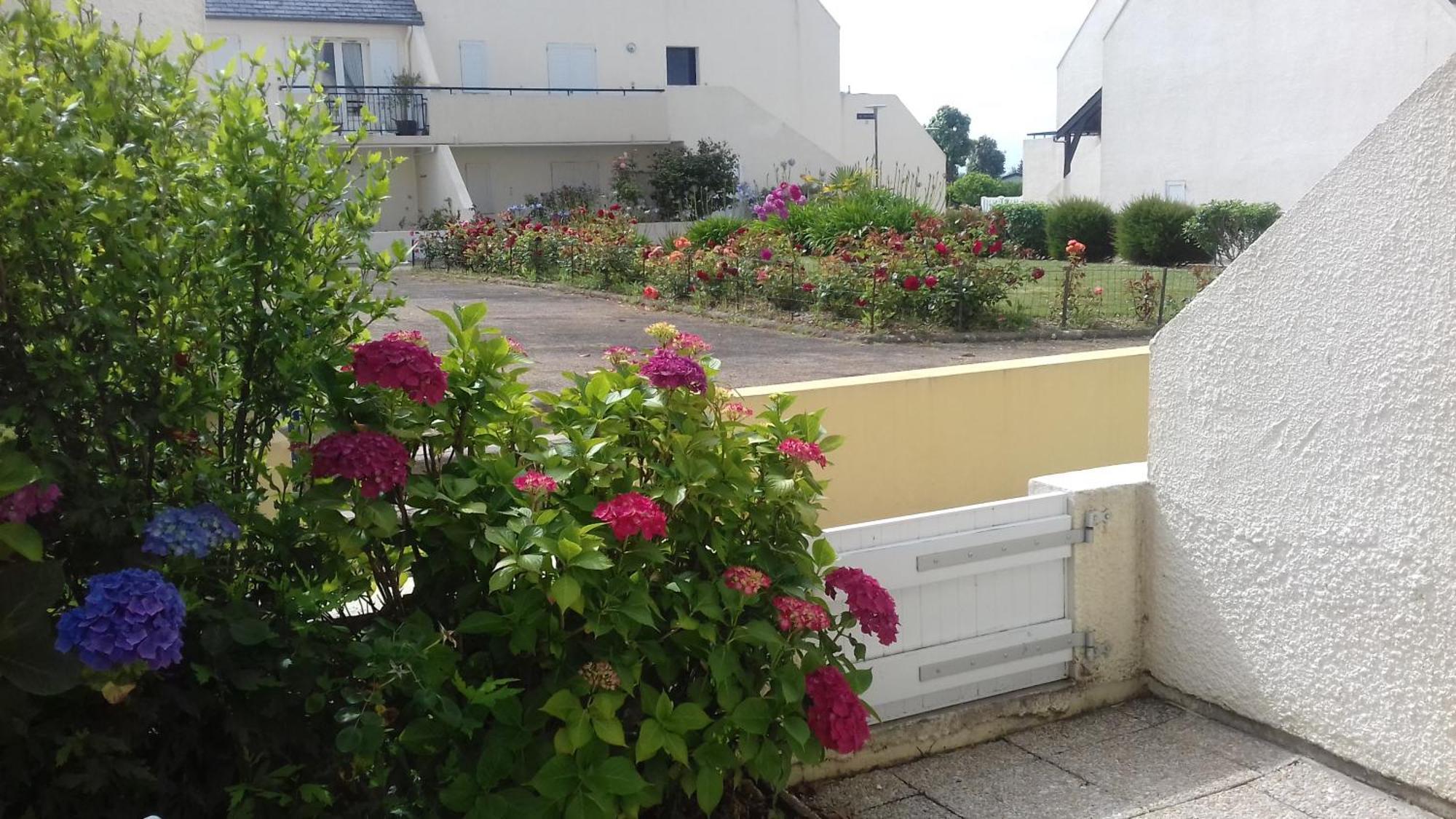 Appartement Cosy 100M Plage De Pentrez Saint-Nic Esterno foto